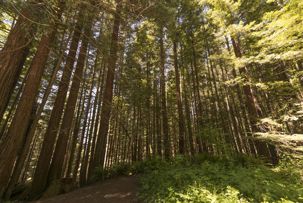 10 best photography spots in Northern California