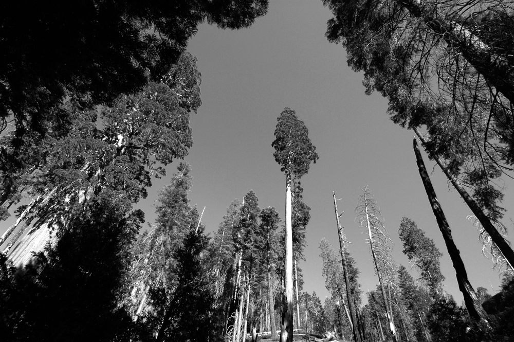 10 best photography spots in Northern California