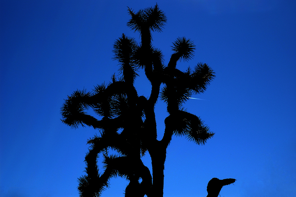 10 best photography spots in Southern California