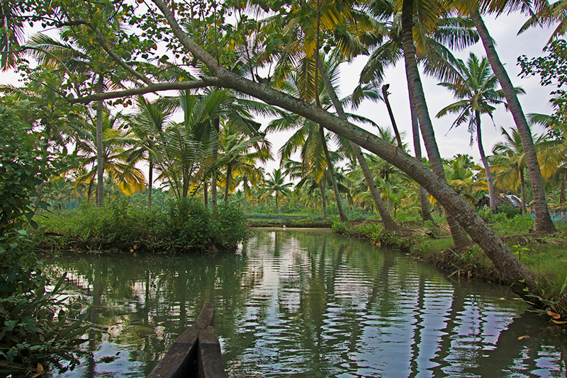 Hidden Gems - IamVagabond