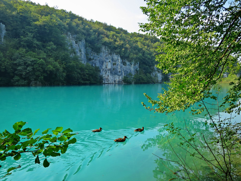 Hidden Gems - IamVagabond